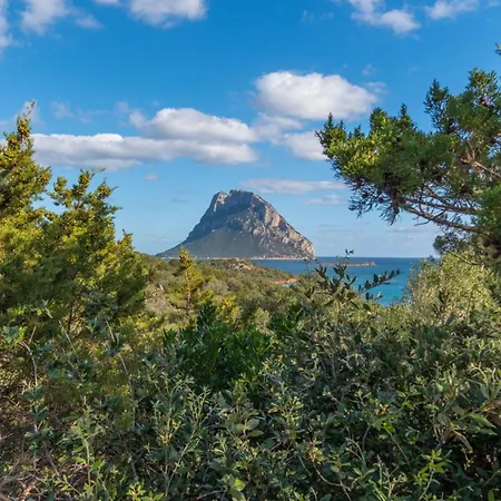 Villa Nuraghe - By Searly *